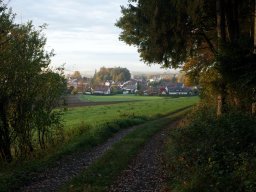 Am Buchwald im Oktober